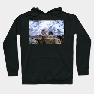 Hot Spring Monkey Hoodie